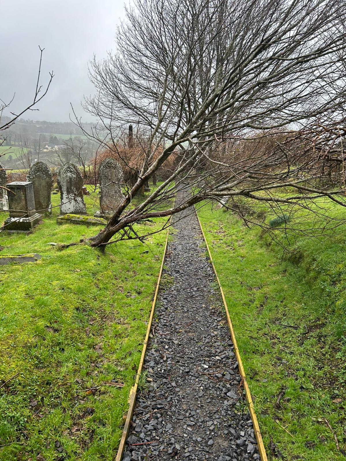 Commercial and Utilities - ADW Tree Services