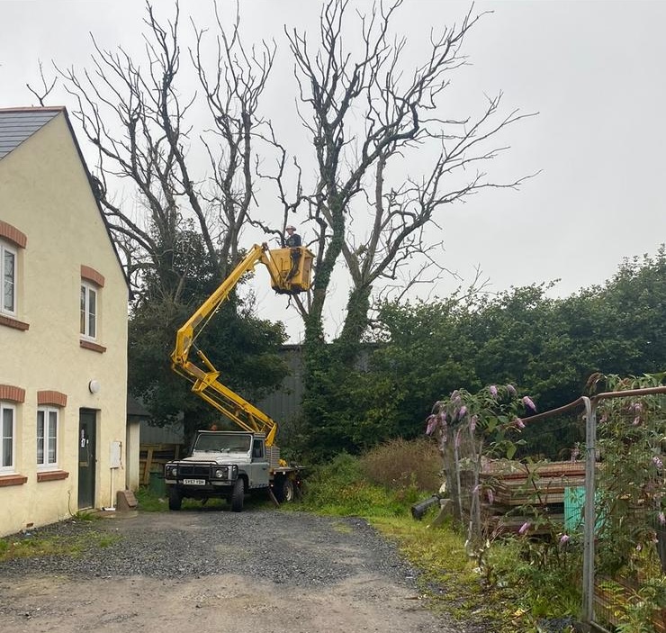 Stump Grinding, Wood Chipping and Cherry Picker Services