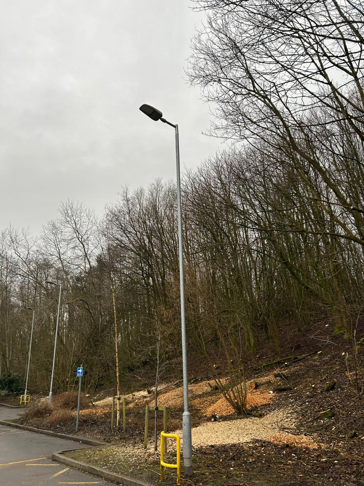 Commercial and Utilities - ADW Tree Services