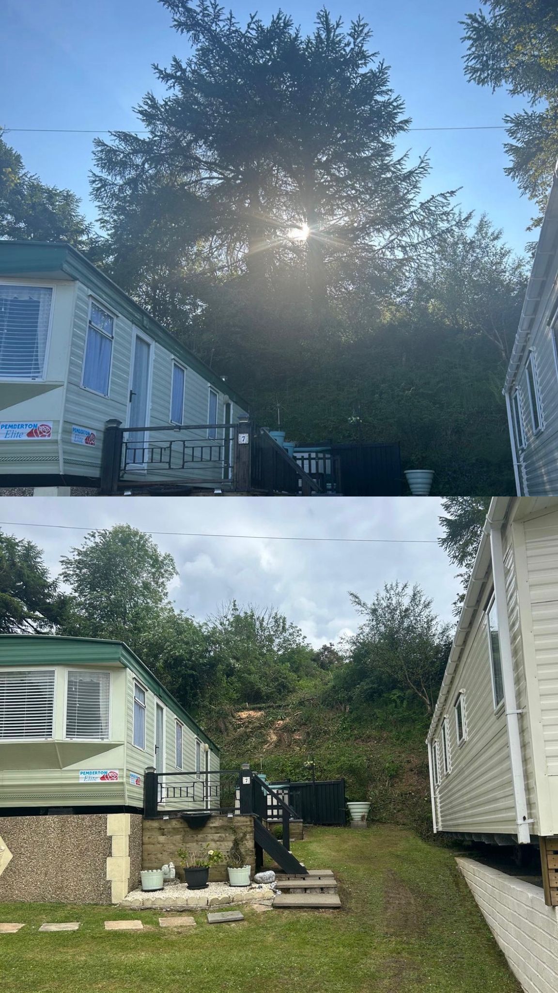 Pruning, Crown Reductions and Crown Lifting - ADW Tree Services