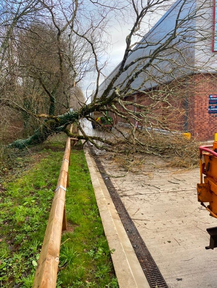 Commercial and Utilities - ADW Tree Services
