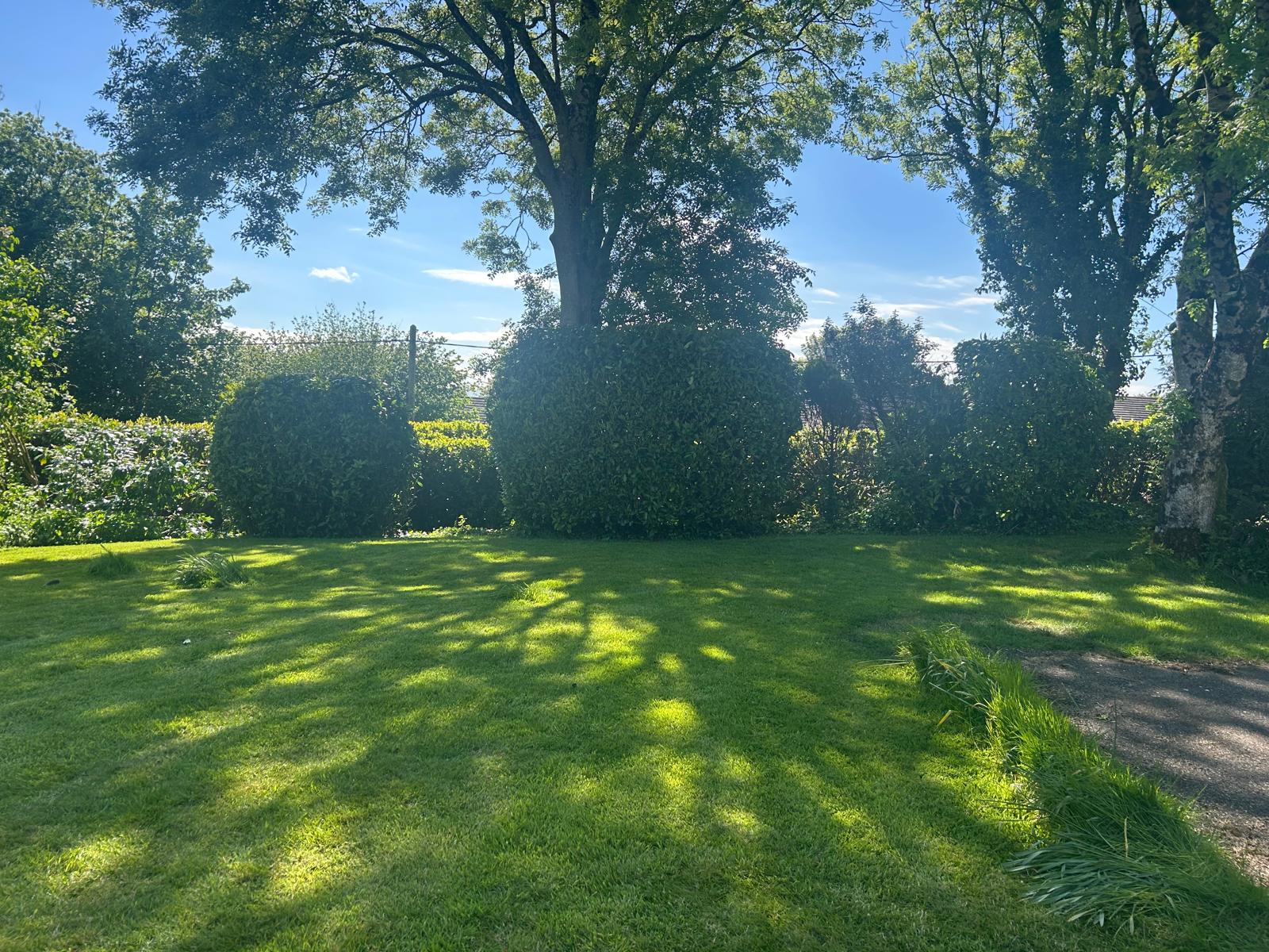 Hedges - ADW Tree Services