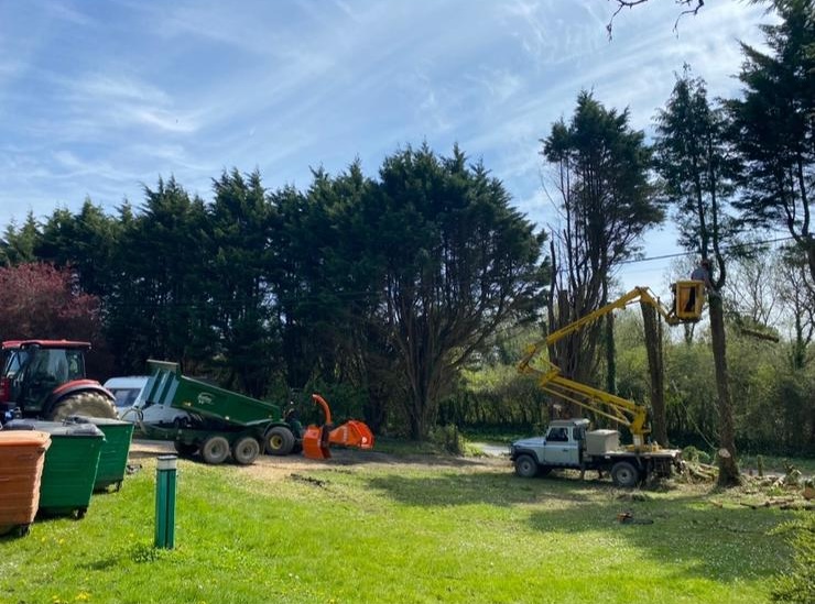 Stump Grinding, Wood Chipping and Cherry Picker Services - ADW Tree Services