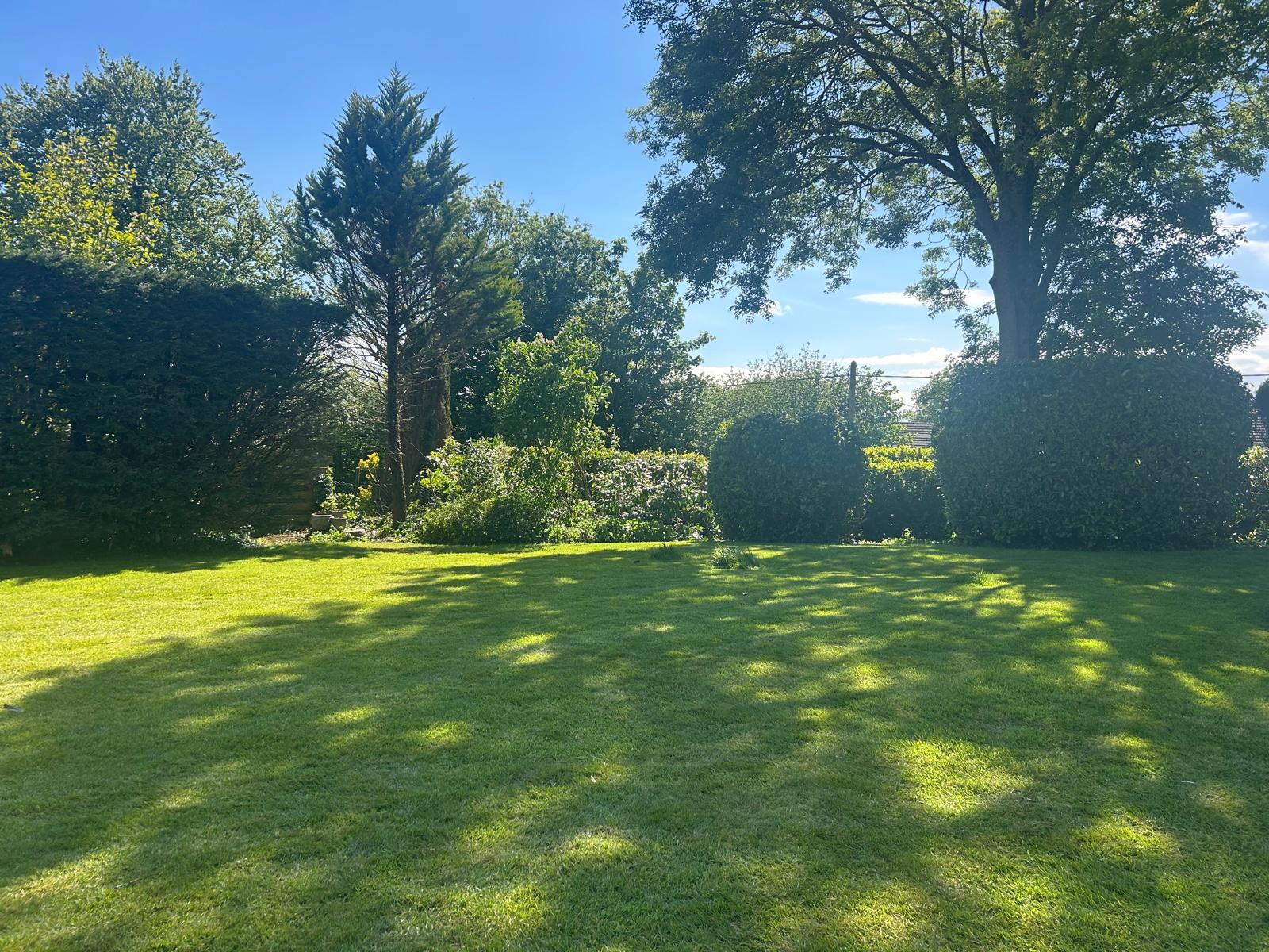 Hedges - ADW Tree Services