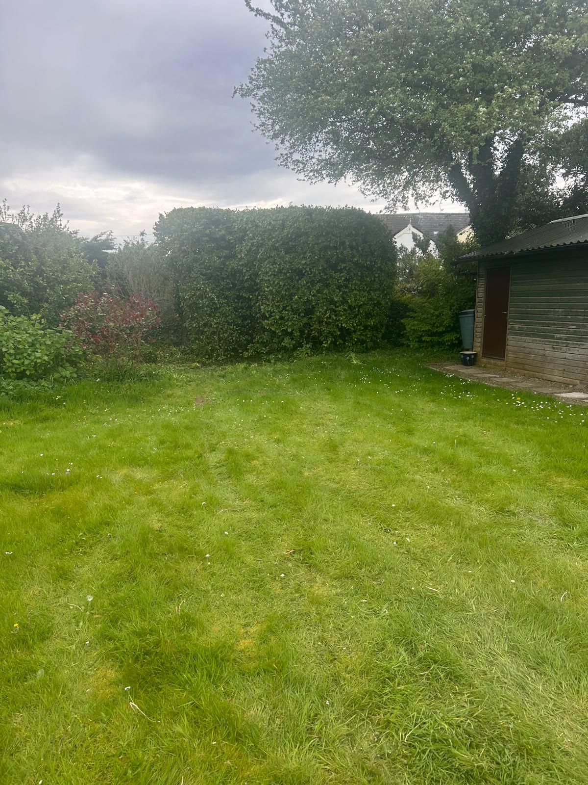 Hedges - ADW Tree Services