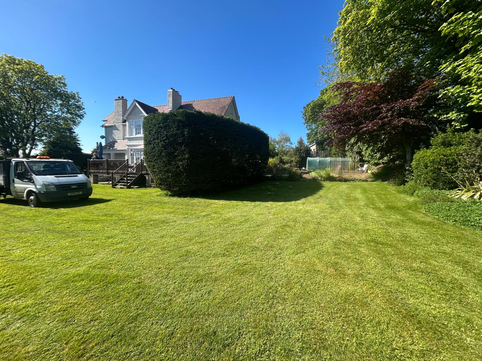 Hedges - ADW Tree Services